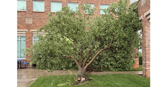Storm Debris Disposal Information Following Tuesday Night Storm