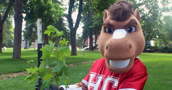 After 270,000-mile trip, Moon Tree lands in Hastings College Arboretum