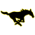 McCool Junction,Mustangs Mascot